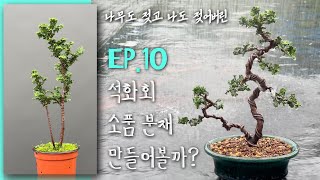 EP10 석화회 소품분재 만들어볼까 [upl. by Nnaeinahpets]