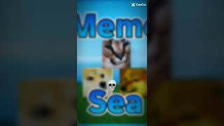 Blog fruits☺ meme sea😎 roblox meme entendedoresentenderão [upl. by Ahsinad746]