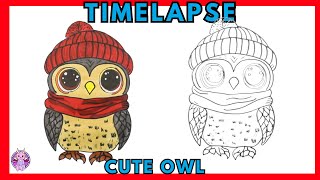 how to draw a owl timelapse [upl. by Noryk]