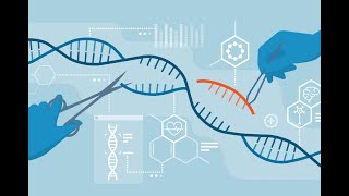 Genetics Lecture 27  Immunogenetics [upl. by Nace]