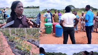 MTN Ghana Foundation Empowers Rural Women with Digital Farming Skills [upl. by Jerman366]