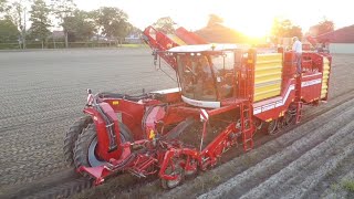 Aardappels rooien en inschuren  Grimme Varitron 270  Wijk Agro BV  Harvest potatoes  2024 [upl. by Ybocaj]