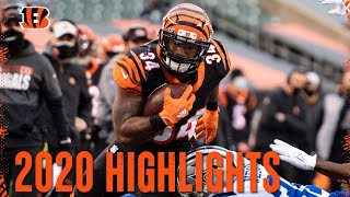 Samaje Perine Full 2020 Season Highlights  Cincinnati Bengals [upl. by Teodoro347]