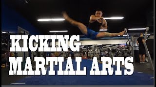 INTENSE MARTIAL ARTS KICK TRAINING [upl. by Ellehsor]