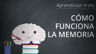 Cómo funciona tu memoria codificación almacenamiento y recuperación  Aprendizaje Arata 19 [upl. by Lerrud24]