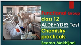 Organic Functional group test for Aldehyde Tollens and Fehlings Class 12 by Seema Makhijani [upl. by Olivier]