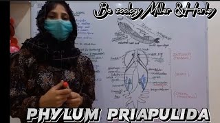 Phlum Priapulida  Penis worms  Body form  Digestive system  Reproductive system  BsZoology [upl. by Enajiram]