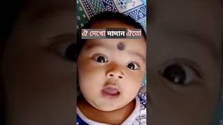 আমাদের ডোডো চতুর্থ মাস পূর্ণ করেছে 🌹💛 cutebaby bhanumati [upl. by Selle]