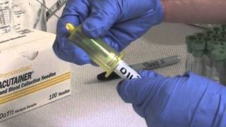 Obtaining a Blood Sample From Your Small Ruminant  AS605VW [upl. by Aiam]