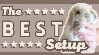 The BEST Setup for your New Rabbit [upl. by Rovit]