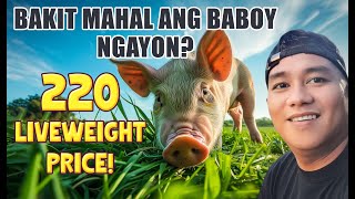 BAKIT MAHAL ANG BABOY NGAYON LIVEWEIGHT UPDATE 2024 [upl. by Nodaj]