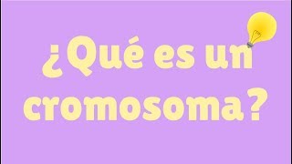 ¿Qué es un cromosoma [upl. by Searby]