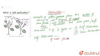 What is self pollination [upl. by Henrik]