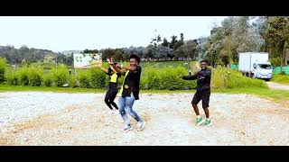 Broederliefde  Kippen  Dance official video [upl. by Aihsek94]