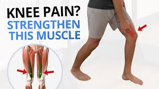 4 Quadriceps VMO Strengthening Exercises for Painful Knees [upl. by Beverly716]