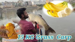 Carp Fishing Secrets How to Catch Big Grass Carp Rohu Fish Catch By Handline [upl. by Cuttie]