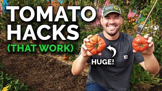 9 Tomato Growing Tips That Actually Work [upl. by Rothschild]