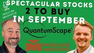 2 Spectacular Stocks to Buy in September [upl. by Eicaj646]