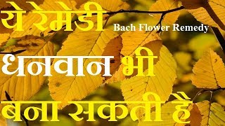 how to become rich with bach flower remedy in hindi by rohit nain [upl. by Olracnaig]