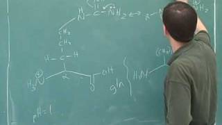 Organic chemistry Amino acids and peptides 8 [upl. by Adnaluoy]