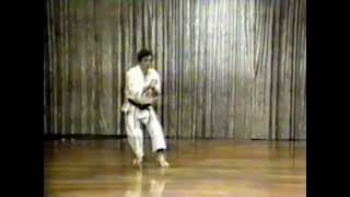 Kanazawa Hirokazu Gankakusho Kata amp Bunkai 1994 [upl. by Rollo]