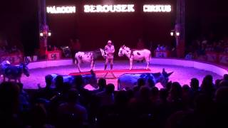 Národní cirkus originál Berousek EXOTIC 2part [upl. by Ezirtaeb]