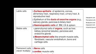 Neoplasms part 1 12 10 24 [upl. by Lakym]