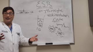 Erythrocyte Sedimentation Rate [upl. by Col]