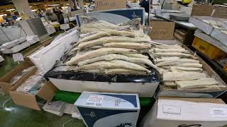 Come with me to billingsgate fish market london [upl. by Seel]