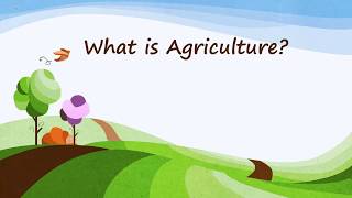 6002 What is Agriculture Lesson Video 1 [upl. by Christiana]