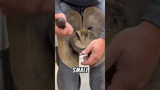 BEST HOOF TRIM EVER SEEN  short hoof satisfying [upl. by Wahs]