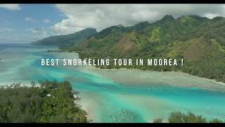 The best snorkeling spots in Moorea [upl. by Ahsian]