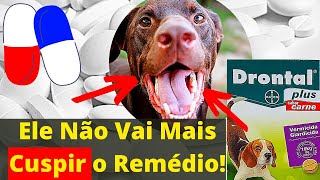 SEGREDO COMO DAR COMPRIMIDOS PARA CACHORRO  Remédio para Cães Não Cuspir Medicamentos [upl. by Carmelina429]