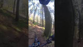 Great MTB Trail [upl. by Lavicrep]