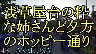 【浅草三社の屋台】浅草寺・屋台の姉さんは美しい・夕方のホッピー通り歩き・浅草観光・東京假期 [upl. by Inimak384]