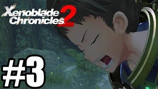 Xenoblade Chronicles 2 Gameplay Walkthrough Part 3 [upl. by Reuven49]