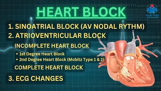 Heart Block  SA Block  AV Block 1st 2nd Mobitz 1 amp 2 3rd Degree  Bundle Branch Block  ECG [upl. by Enellek]