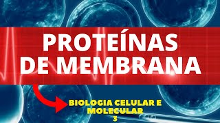 PROTEÍNAS e AMINOÁCIDOS  Compostos Orgânicos  Bioquímica  Aula  Biologia com Samuel Cunha [upl. by Kristina]