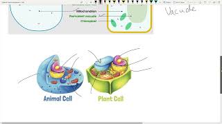 Unit 1  Cells  Cambridge Science  Grade 6 [upl. by Vogeley93]