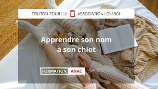 Comment apprendre son prénom à son chien [upl. by Stahl]