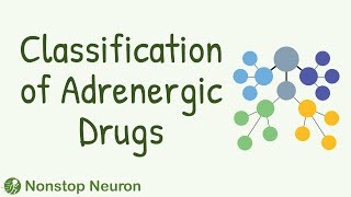 Classfication of Adrenergic Drugs Quick Chart  Sympathomimetics [upl. by Rahcir842]