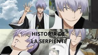 Bleach Análisis de GIN ICHIMARU [upl. by Adnilym714]