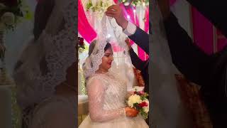 mariagealgerien mariaged اعراسجزائرية wedding mariagemarocain follow [upl. by Enalb]