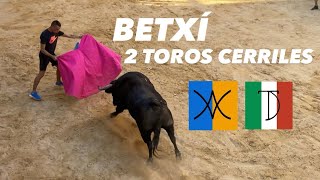 BETXÍ 2 TOROS DE NUÑEZ DE TARIFA Y LUIS TERRÓN DÍAZ [upl. by Oletta]