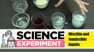 Experiment on Miscible and immiscible liquids  Science Experiment 1  Easy Chemistry Experiments [upl. by Rydder]