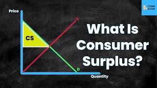 What is Consumer Surplus  Think Econ  Microeconomic Concepts [upl. by Burnaby674]