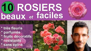 Rosiers pour le jardin  10 variétés faciles et superbes  conseils achat plantation et entretien [upl. by Doubler135]