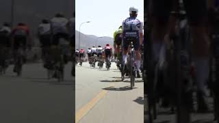 Bad crash for Mark Cavendish in Oman shorts [upl. by Selina]