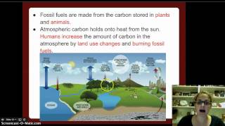 Biogeochemical Cycles [upl. by Nojid]