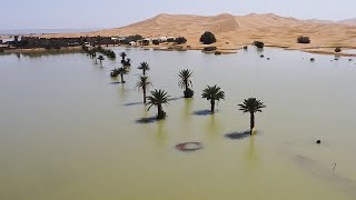 Le Sahara transformé par les pluies diluviennes [upl. by Juieta434]